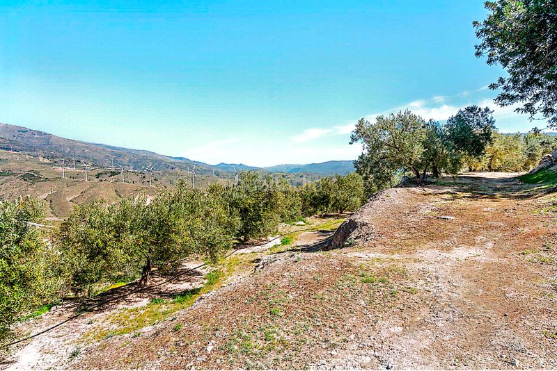 Foto fa5a7b9f-5bf5-4e26-8357-c9ebb65dbdbf. Finca rústica a n/a a Pinar (El)