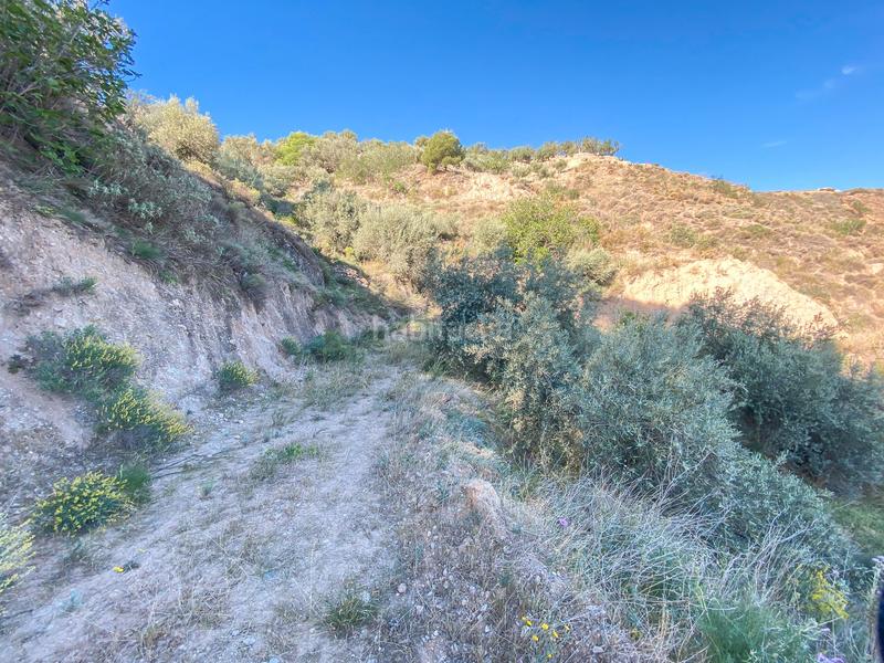 Foto a6c54641-cc46-458c-9b4e-3da1aa4525c4. Landgut in n/a in Pinar (El)