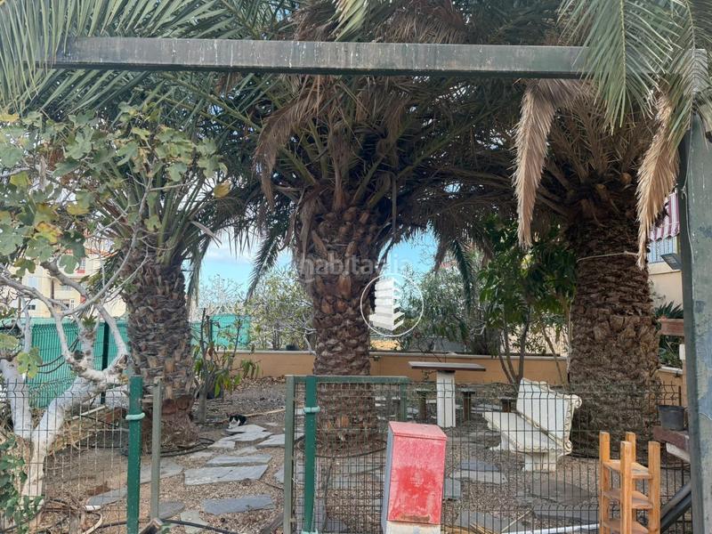 Foto dede1014-46f0-4044-aab0-f81dda060125. Lloguer pis amb calefacció a Candelaria - playa la viuda Candelaria