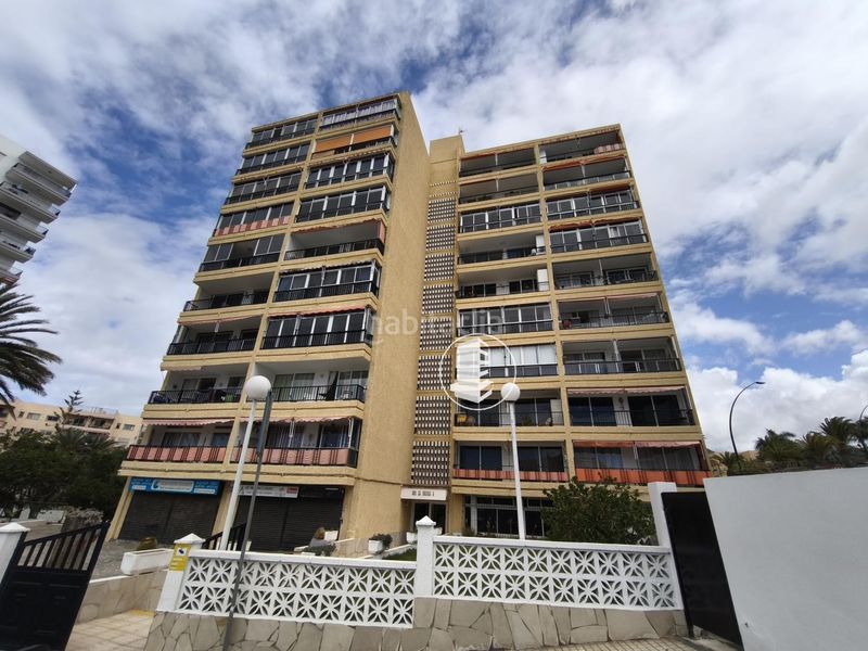 Foto 78bda5b6-4913-40e4-a85c-d19ea52d7017. Pis a Los Cristianos Arona