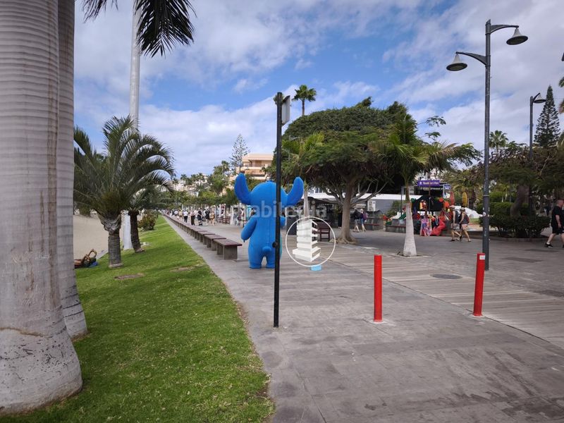 Foto 9d3e4572-1a46-4220-9374-ae00aaa56b36. Pis a Los Cristianos Arona