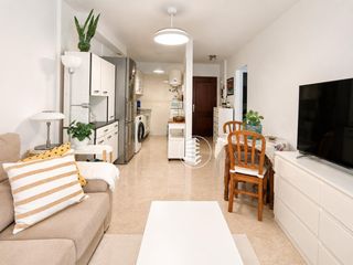 Rent Apartment in Centro