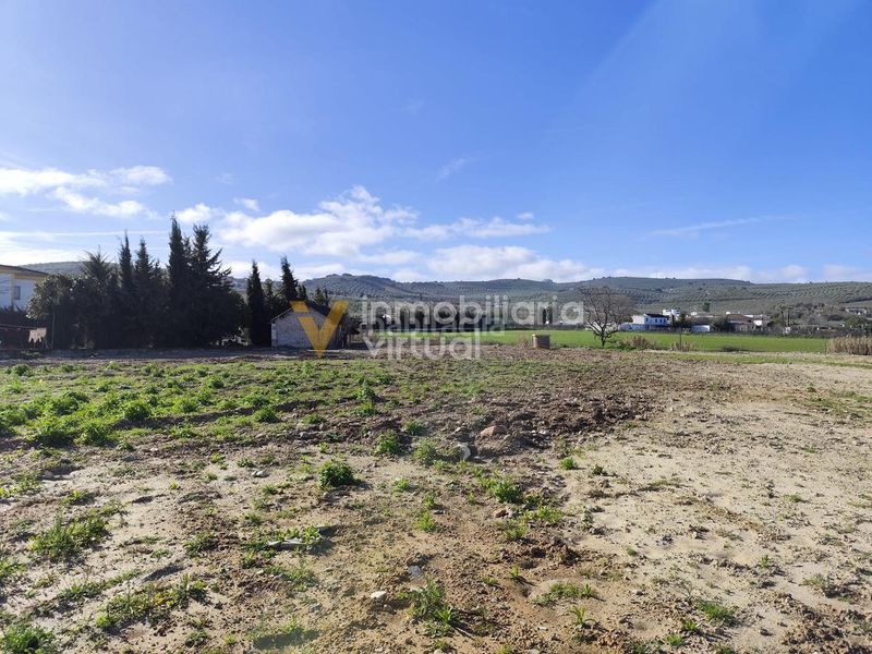 Foto 4fd44a89-665f-4958-a80f-e2094cb9f2c3. Finca rústica a desconocido 790 a Poleares Lucena