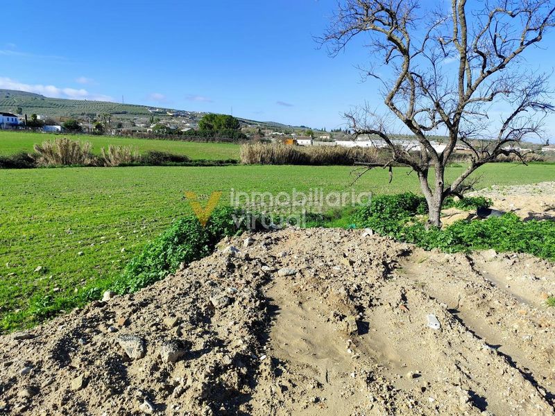 Foto c378d153-cfab-4100-bd9e-2c71a6fdcc46. Finca rústica a desconocido 790 a Poleares Lucena