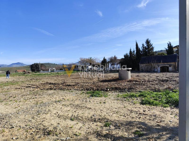 Foto c4f8ae0b-c80d-4678-b85a-ddfd66517fc8. Finca rústica a desconocido 790 a Poleares Lucena