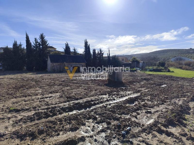 Foto e354d5f3-0422-4871-8326-53edc27e45ab. Finca rústica a desconocido 790 a Poleares Lucena
