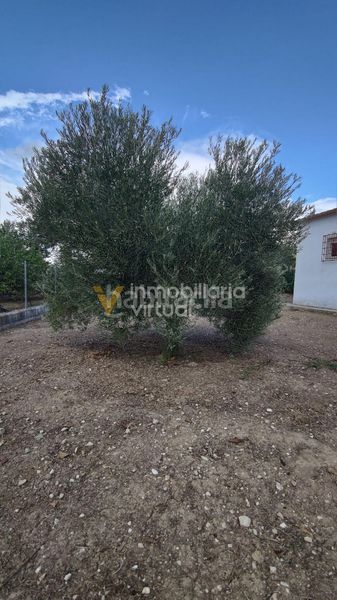 Foto af6a3bcc-7905-428b-9e2a-eb8669dfeb7e. Xalet a El Carmen - La Barrera Lucena