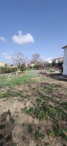 Foto de729a5a-c171-4068-ad4e-2a76637e1835. Xalet a El Carmen - La Barrera Lucena