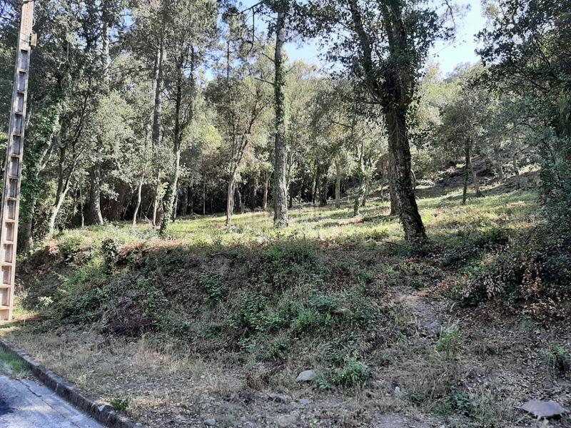 Foto 4a71c252-d99a-469f-acc2-c9c974693e1a. Wohngrundstück in Urbanitzacions del Nord Santa Cristina d´Aro