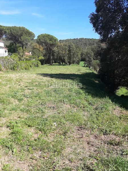 Foto 6f9b8015-83dc-4576-9506-03273c5e525b. Terrain résidentiel dans Urbanitzacions del Nord Santa Cristina d´Aro
