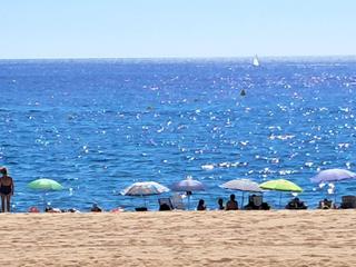 Apartament a Fenals. Planta baja en platja d aro !