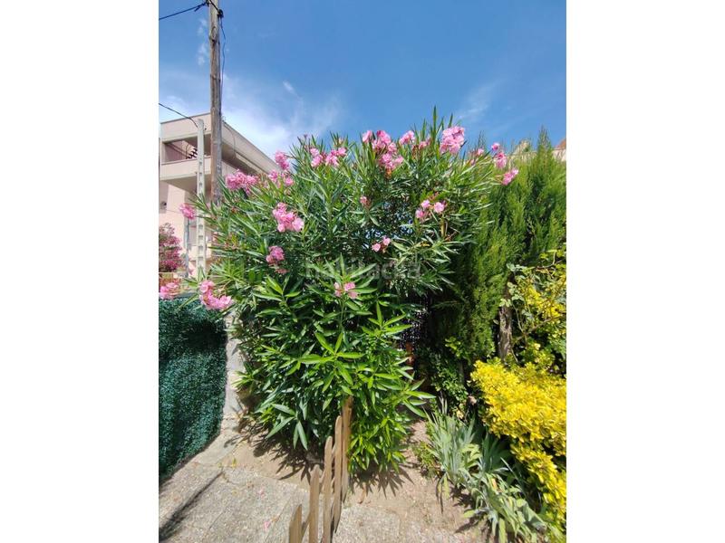 Foto dde8654f-0f41-4ee1-bfd2-8c89af8cef88. Chalet avec chauffage parking dans pla de maset - cap de Salou Salou