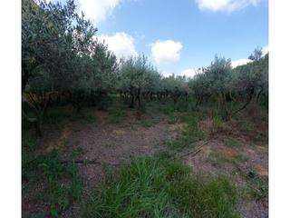 Mas  Camí dels morts. Venta de casa rústica en reus