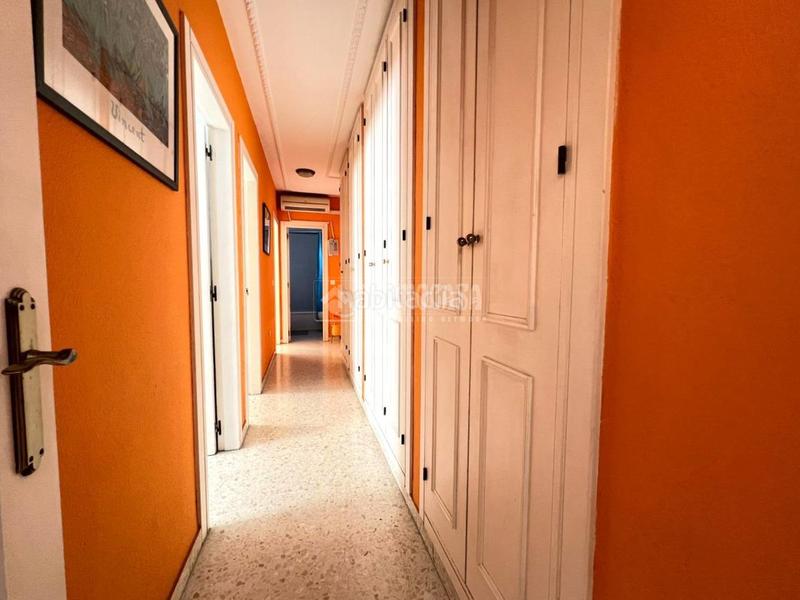 Foto bbdc000e-06c7-4ff0-9860-4fb4bf9a71f5. Pis a Santiago - Coronación Jerez de la Frontera