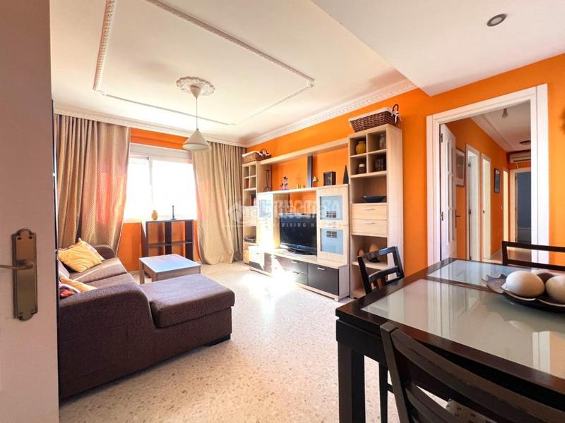 Foto c9c3f168-fbd7-4424-9839-da9270767fa7. Pis a Santiago - Coronación Jerez de la Frontera