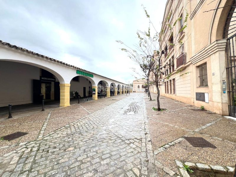 Foto b1437302-527d-45de-8f04-eeb400d25ff8. Pis a Divina Pastora - La Yeguada Jerez de la Frontera