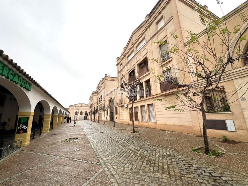 Foto dea7f853-62aa-46d4-a462-cbcc49a18f18. Pis a Divina Pastora - La Yeguada Jerez de la Frontera