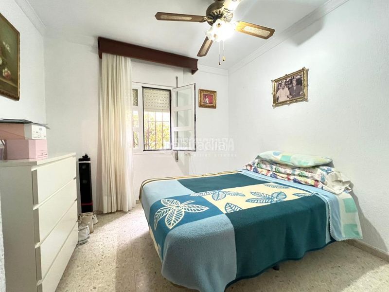 Foto f0b96ee5-3e2f-40ad-8ac0-bf80ec1fee43. Pis a Divina Pastora - La Yeguada Jerez de la Frontera