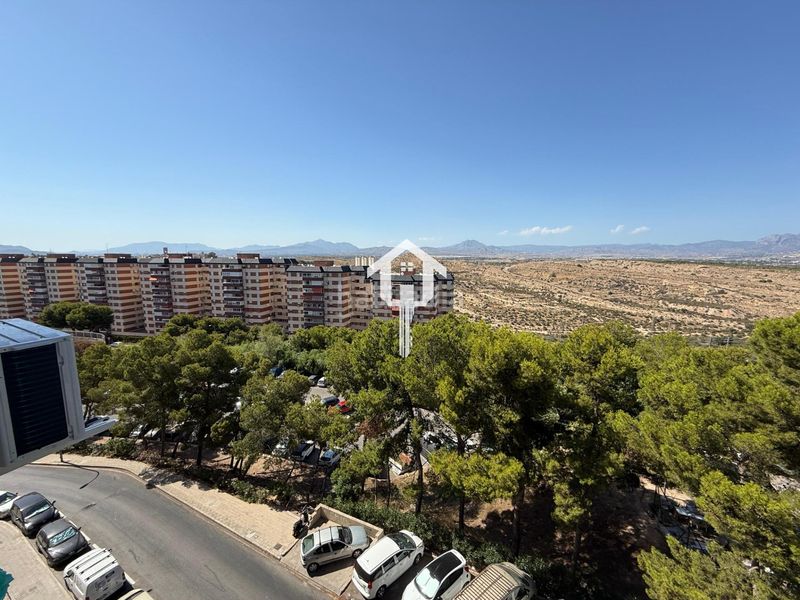Foto c0ef684c-df9c-4231-99ba-c65e9bc8db19. Pis a Juan XXIII Alicante