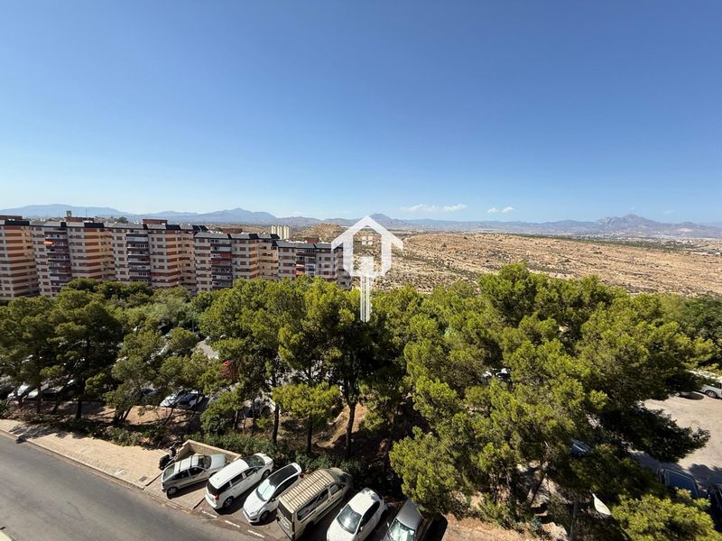 Foto e71fc407-8718-44c0-9fd2-b7b872413c61. Pis a Juan XXIII Alicante
