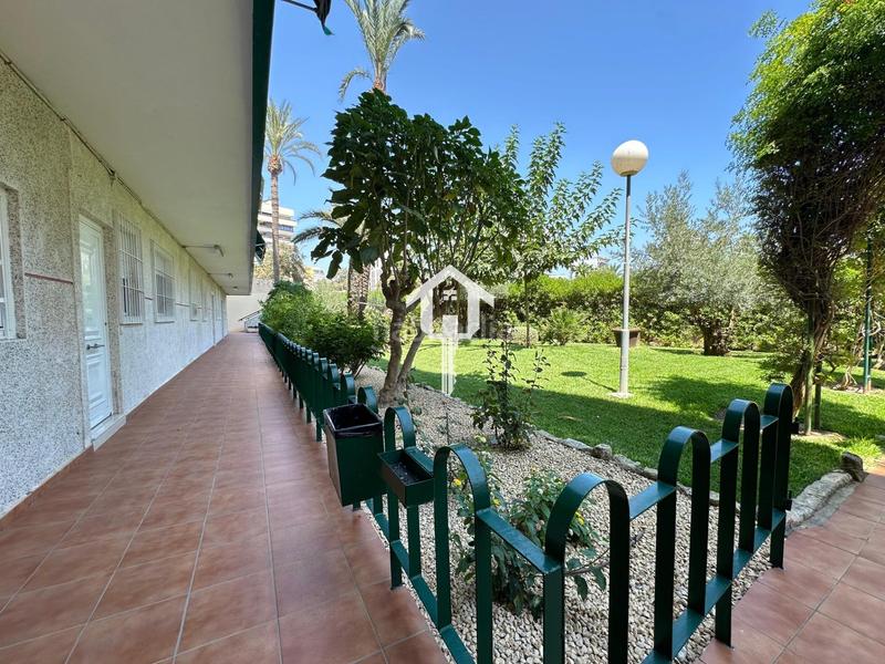 Foto a3315554-6d9b-47f7-8f30-c29f0bda36a2. Appartamento con parcheggio piscina in PAU 5 Alicante