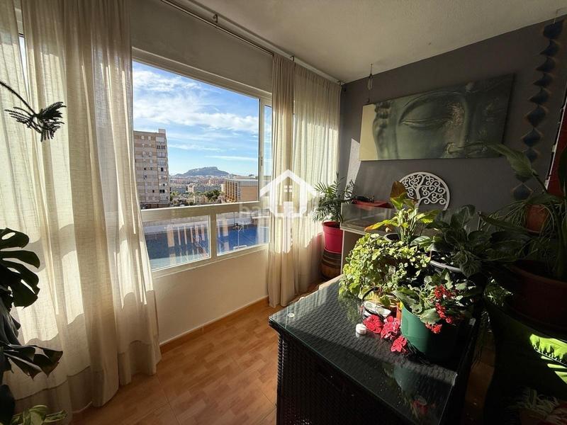 Foto b5f32884-50f6-4e38-b20a-21b2415b088c. Piso  en venta en ciudad elegida, 3 habitaciones, piscina, garaje y vistas al mar en Alicante