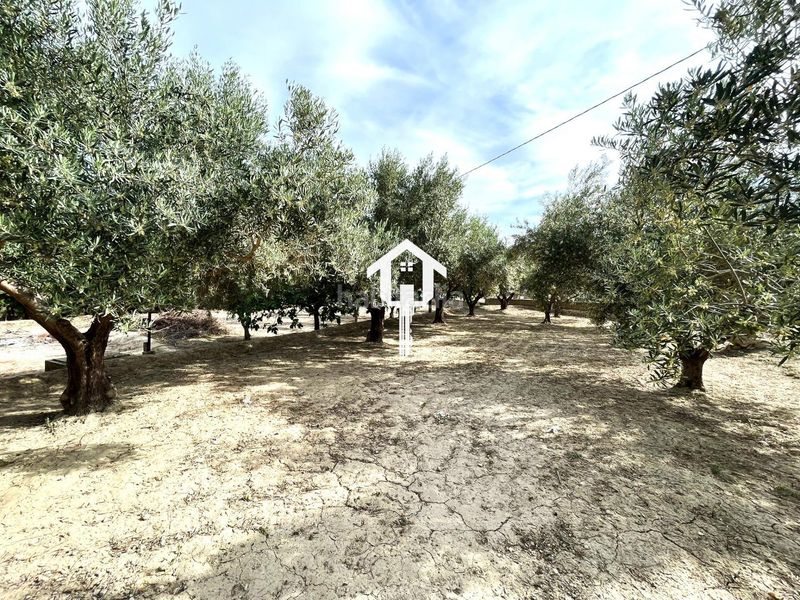 Foto c4a73039-3717-453b-bd95-f71284b88597. Casa a Jubalcoi Elche / Elx
