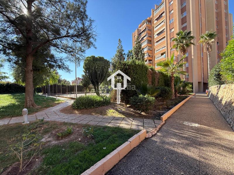 Foto ca8f2d02-004a-4344-a50f-53355c4745d5. Appartement avec piscine dans San Blas Alicante