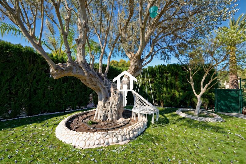 Foto cff33f65-7e58-48b9-916d-444e079acb5c. Casa adossada amb aparcament piscina a Pueblo Acantilado-Lanuza Campello (el)