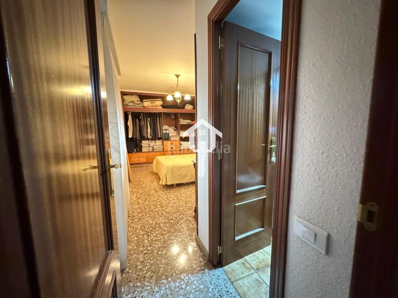 Foto ba1afdfd-4432-4303-953a-f32f163ec32c. Pis a Santo Domingo Alicante