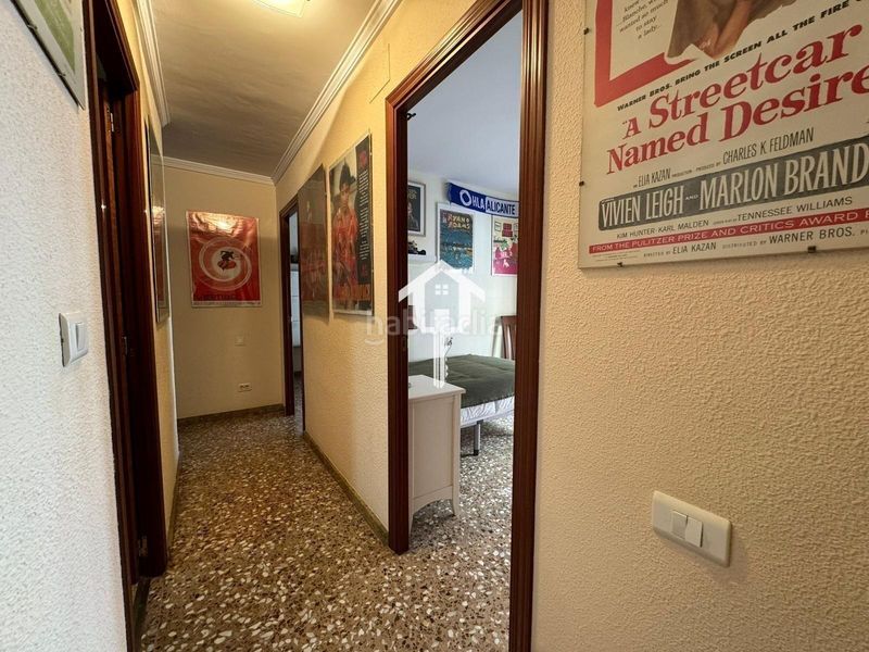 Foto f1d0b78e-1b75-4875-bc85-e6a006c28282. Pis a Santo Domingo Alicante