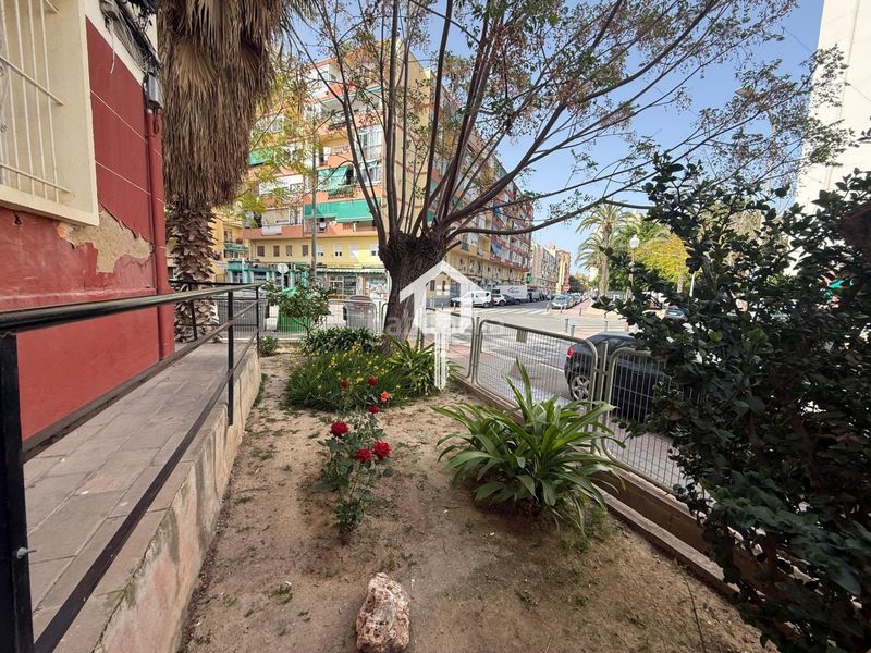 Foto d4e2dbb2-9f33-44b8-9676-0345a6df1a07. Pis a Pla de Bon Repós Alicante