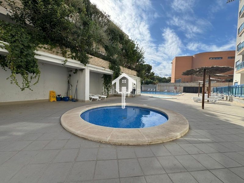 Foto 320afaee-fd6c-4731-b099-a88ff7440b9c. Pis amb aparcament piscina a Palmeral Alicante