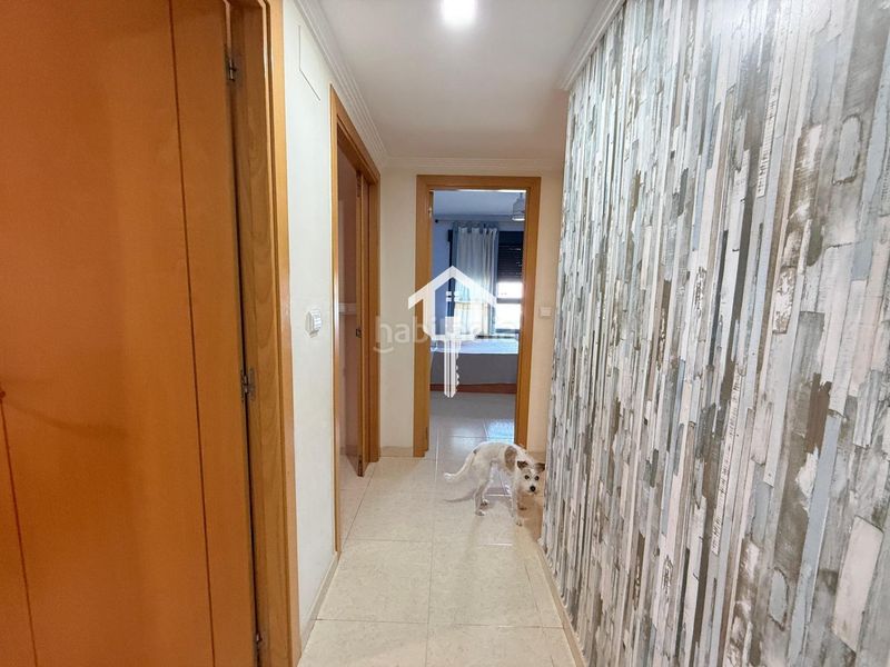 Foto b3d7acae-b085-4f20-bcfc-4bad31600cfb. Pis amb aparcament piscina a Centro Sant Vicent del Raspeig