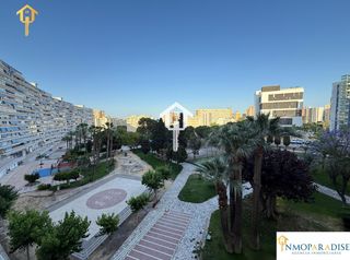Apartament a Avenida BENIDORM