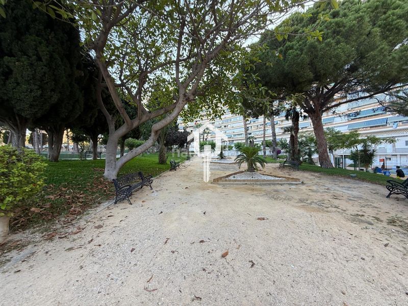 Foto 219a5d1f-04c5-458d-95d9-8260fedbd396. Apartament amb piscina a Playa de San Juan Alicante