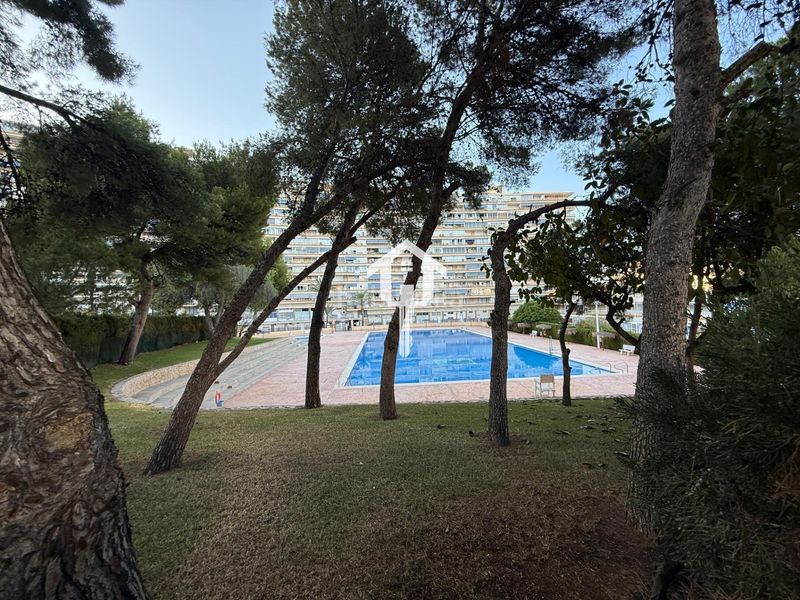 Foto 27a4f9ee-ce56-4caf-bb75-89ec36597e36. Apartament amb piscina a Playa de San Juan Alicante
