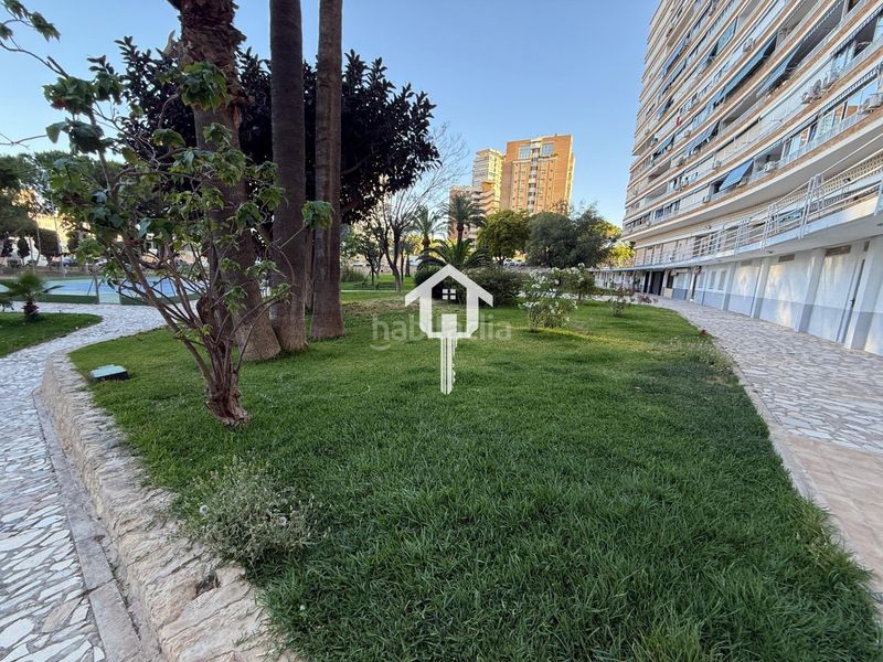 Foto 43a4f2ab-d74b-4b91-90f1-4dbd8a6d8fc2. Apartament amb piscina a Playa de San Juan Alicante