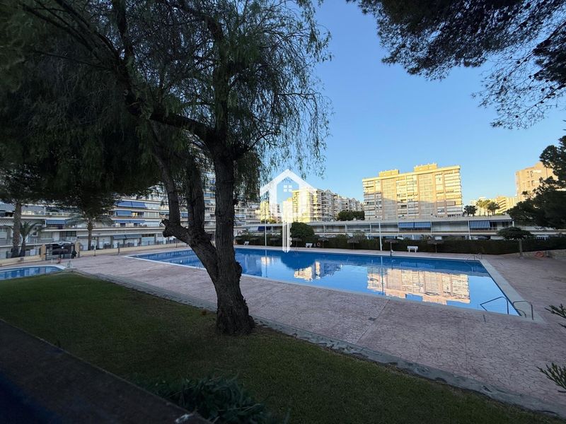 Foto 960e0de4-ff93-4c8f-aa8d-660d43fd7e6a. Apartament amb piscina a Playa de San Juan Alicante