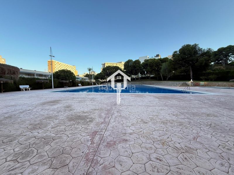 Foto b1db5b2c-9cbb-4628-8511-4efaf16a056c. Apartament amb piscina a Playa de San Juan Alicante