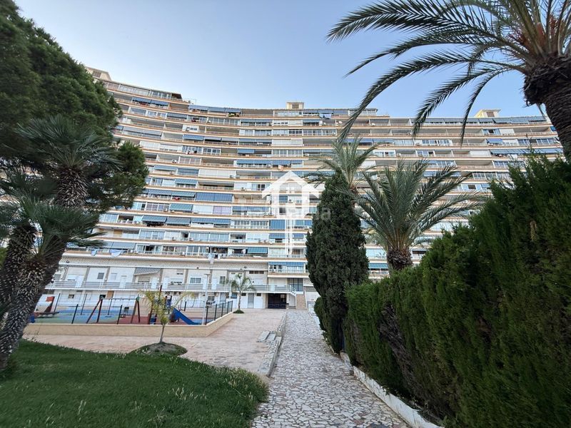 Foto cfa39192-40d0-4fd0-a0b6-749f5d4059bf. Apartament amb piscina a Playa de San Juan Alicante
