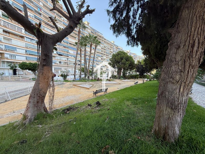 Foto d369bac3-30f9-4956-b9b8-4948925a48dc. Apartament amb piscina a Playa de San Juan Alicante