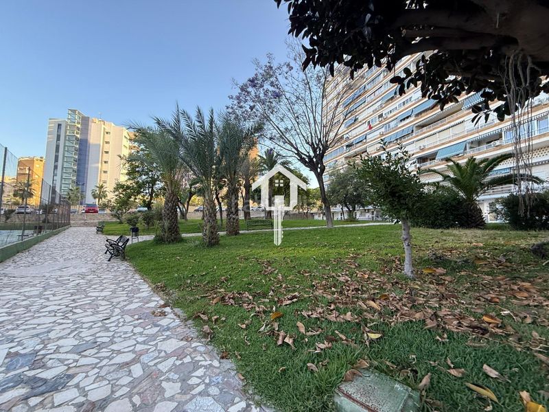 Foto f4e1d58d-144e-4941-9c82-8b14ec069445. Apartament amb piscina a Playa de San Juan Alicante
