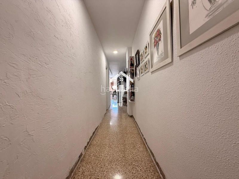 Foto 8821c343-7ba1-4093-b4fd-e6cd8411735e. Pis a Carolinas Altas Alicante