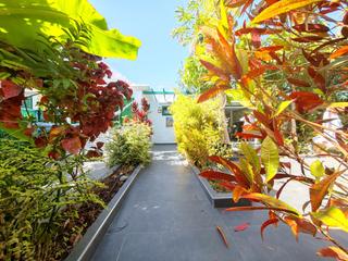 Location Maison  Touroperador thomson hol.. Se alquila bungalow en maspalomas