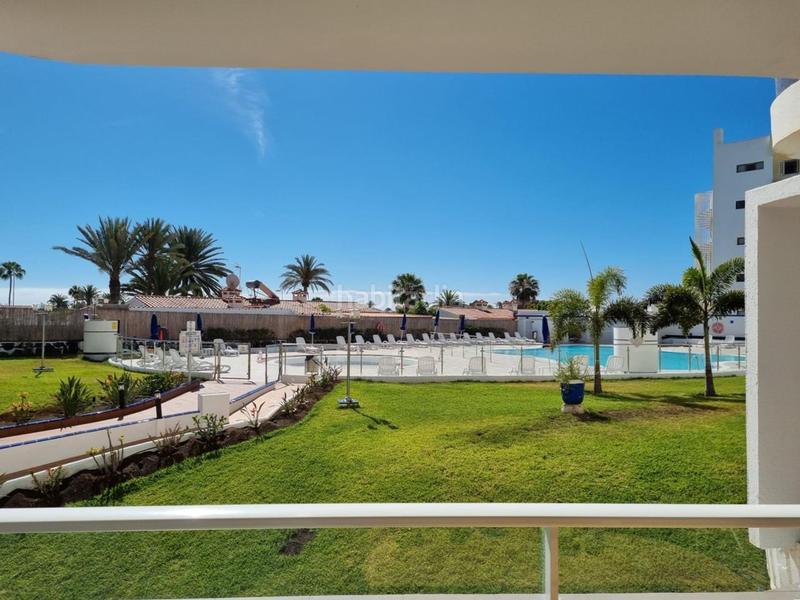 Foto 1fc69bf5-bfc4-47e8-ab1c-7979f88ad391. Alquiler apartamento en de tirajana 16 coqueto apartamento en el complejo tamaran en San Bartolomé de Tirajana