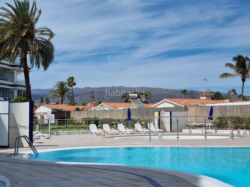 Foto 9cf977c2-0321-4971-9215-45fc1cd33e0f. Alquiler apartamento en de tirajana 16 coqueto apartamento en el complejo tamaran en San Bartolomé de Tirajana