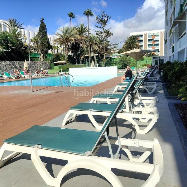 Foto c77ee6ca-cb6c-4fb1-a36f-e4f57fd25c65. Alquiler piso coqueto apartamento playa del ingles en San Bartolomé de Tirajana