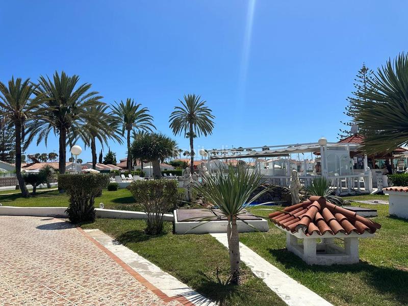 Foto 398bb227-d73e-4d50-81b7-1870a4f736b6. Miete haus mit pool in Playa del Inglés San Bartolomé de Tirajana