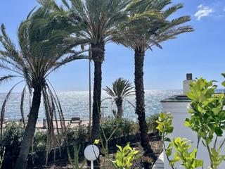 Lloguer Dplex  Las dalias. Duplex deluxe en san agustn